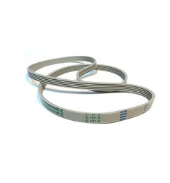 CINGHIA 1161 J5 ELASTICA PU WHITE