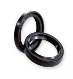 ANELLO TENUTA 15x30x7 G