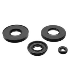 ANELLO TENUTA 22x40x10 G