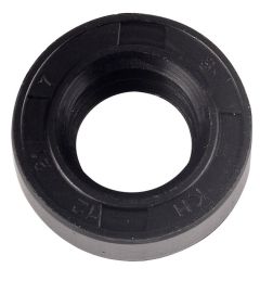 ANELLO TENUTA 25x42x7 GP 