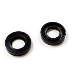 ANELLO TEN.25x47x10 DC Doppia Molla