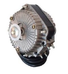 MOTORE PENTAVALENTE 5 WATT