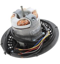 S80-40ANP8609SE MOTORE CAPPA